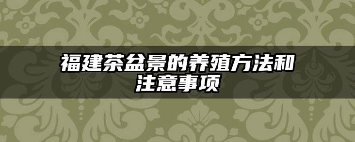 福建茶盆景的养殖方法和注意事项