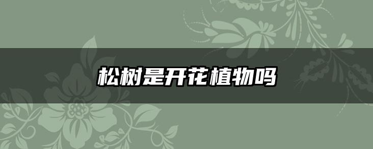 松树是开花植物吗