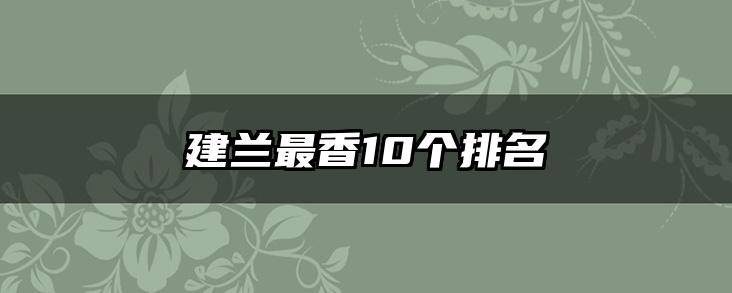 建兰最香10个排名