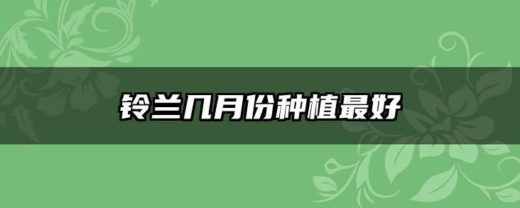 铃兰几月份种植最好