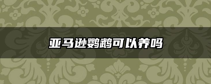 亚马逊鹦鹉可以养吗