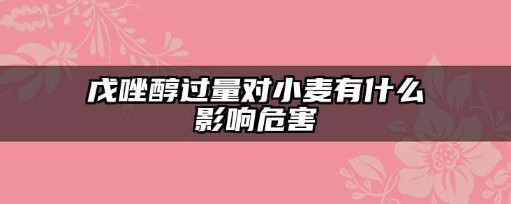 戊唑醇过量对小麦有什么影响危害