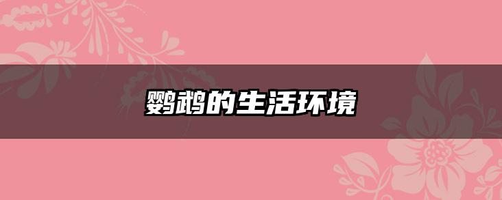 鹦鹉的生活环境