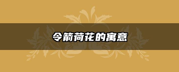 令箭荷花的寓意