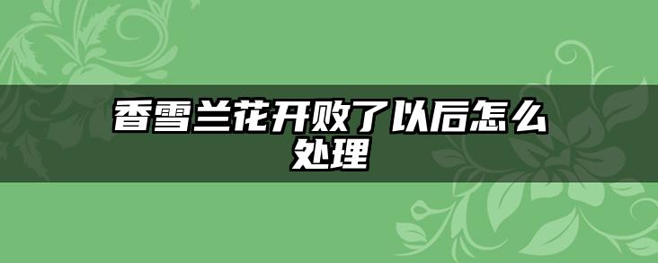香雪兰花开败了以后怎么处理