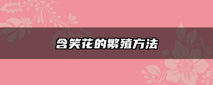 含笑花的繁殖方法