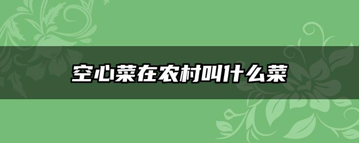 空心菜在农村叫什么菜