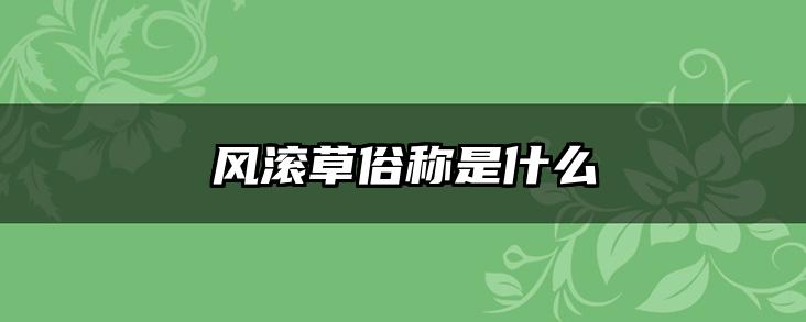 风滚草俗称是什么
