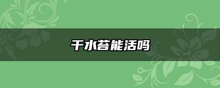 干水苔能活吗