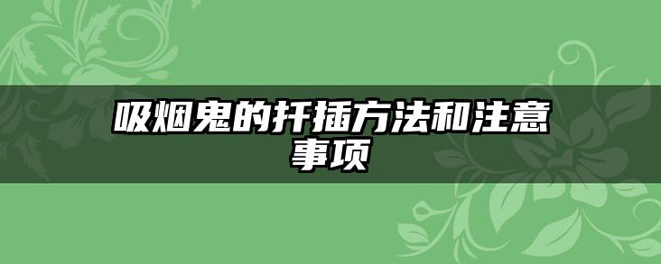 吸烟鬼的扦插方法和注意事项