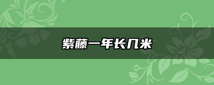 紫藤一年长几米