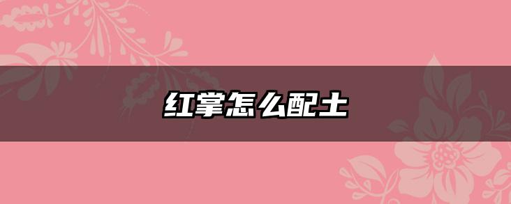 红掌怎么配土
