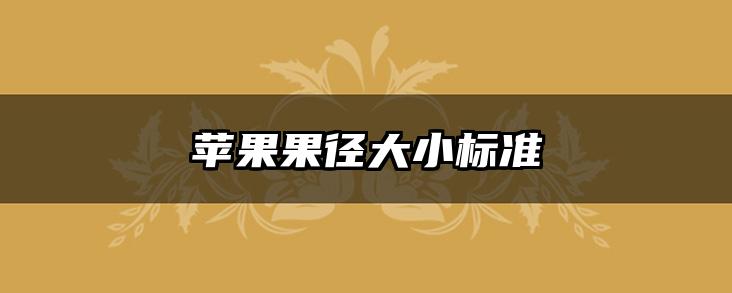 苹果果径大小标准