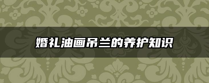 婚礼油画吊兰的养护知识