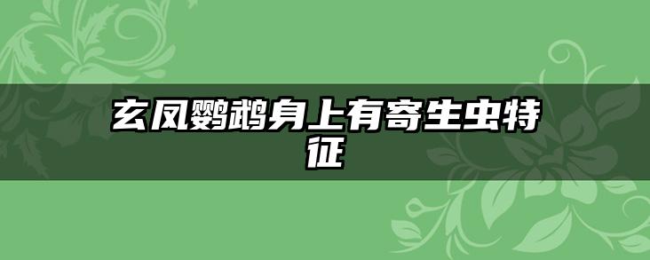 玄凤鹦鹉身上有寄生虫特征