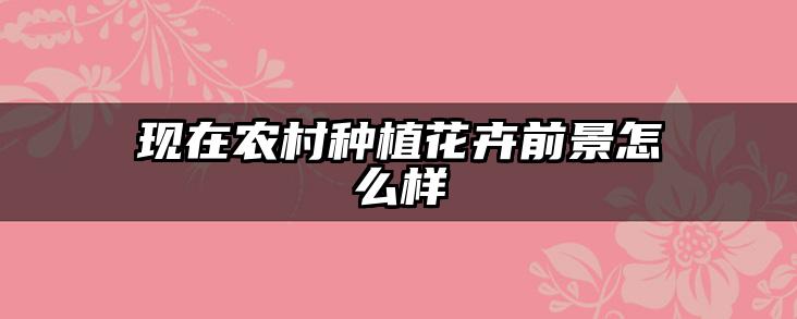 现在农村种植花卉前景怎么样