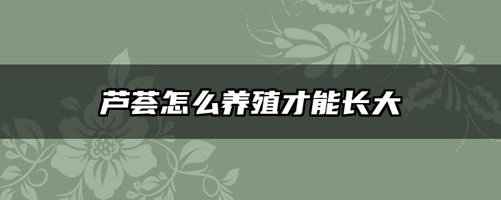 芦荟怎么养殖才能长大