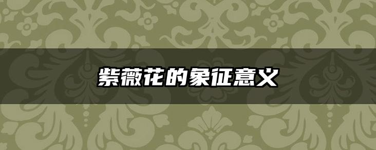 紫薇花的象征意义