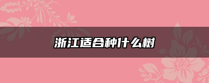浙江适合种什么树