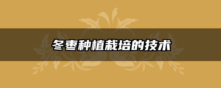 冬枣种植栽培的技术