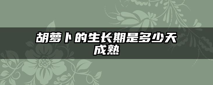 胡萝卜的生长期是多少天成熟