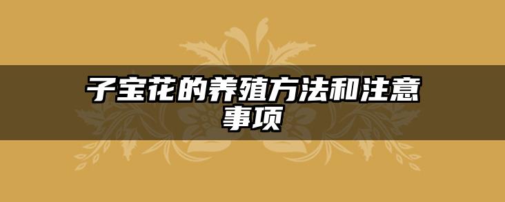 子宝花的养殖方法和注意事项