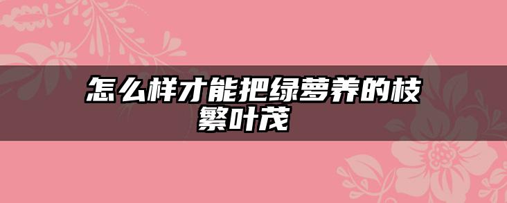 怎么样才能把绿萝养的枝繁叶茂 