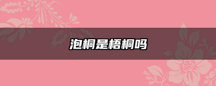 泡桐是梧桐吗