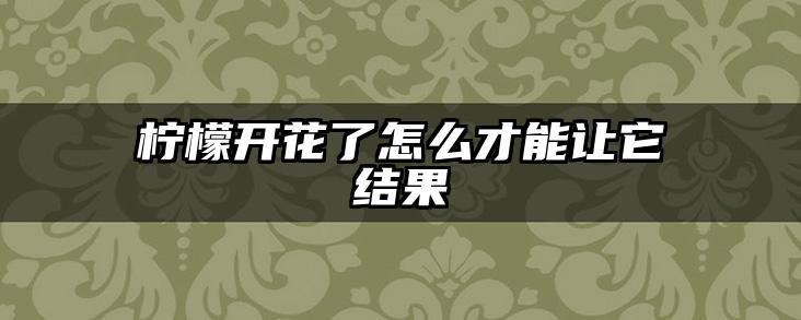 柠檬开花了怎么才能让它结果