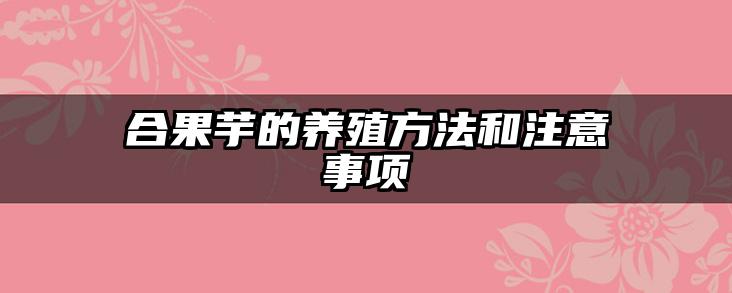 合果芋的养殖方法和注意事项