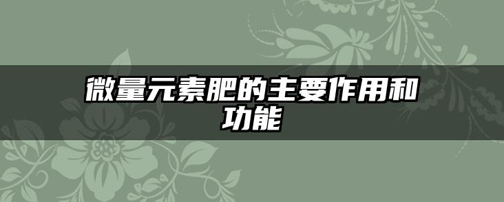 微量元素肥的主要作用和功能