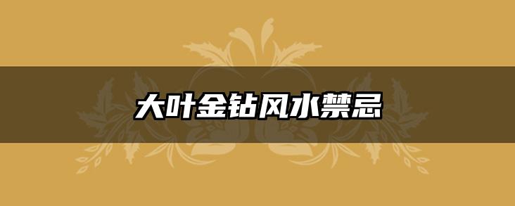 大叶金钻风水禁忌