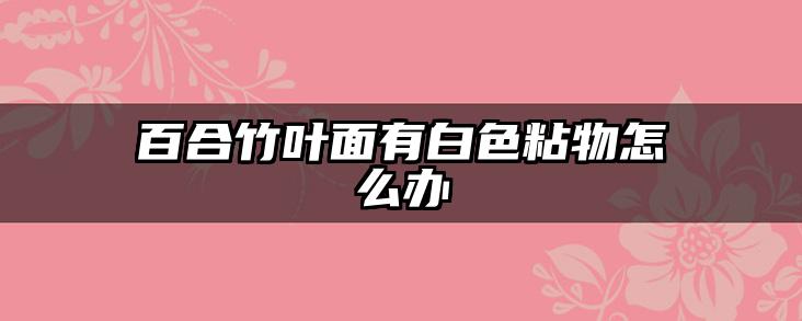 百合竹叶面有白色粘物怎么办