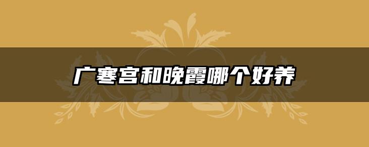 广寒宫和晚霞哪个好养