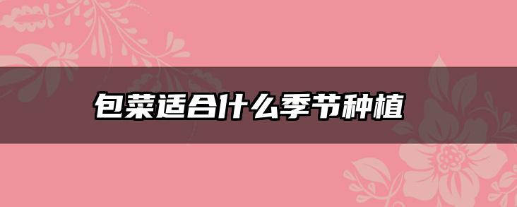 包菜适合什么季节种植