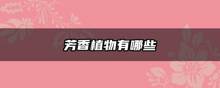 芳香植物有哪些