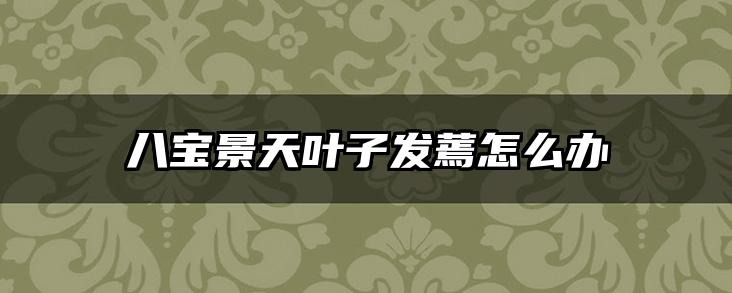 八宝景天叶子发蔫怎么办