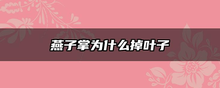 燕子掌为什么掉叶子