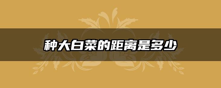 种大白菜的距离是多少