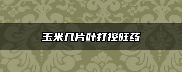 玉米几片叶打控旺药