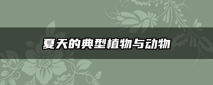 夏天的典型植物与动物