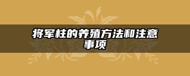将军柱的养殖方法和注意事项