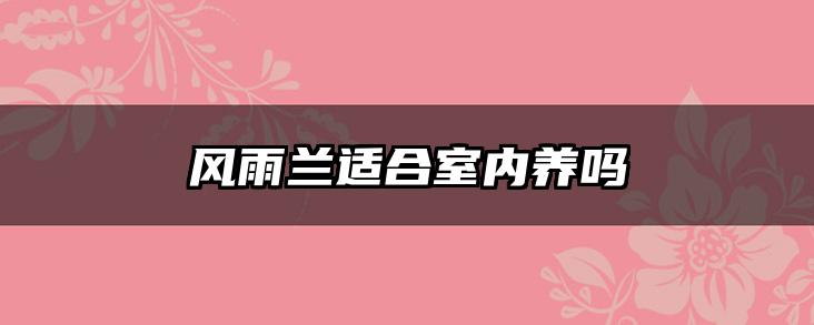 风雨兰适合室内养吗