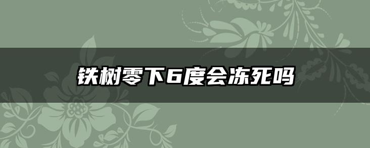 铁树零下6度会冻死吗