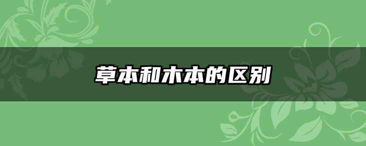 草本和木本的区别