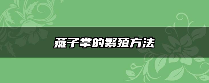 燕子掌的繁殖方法