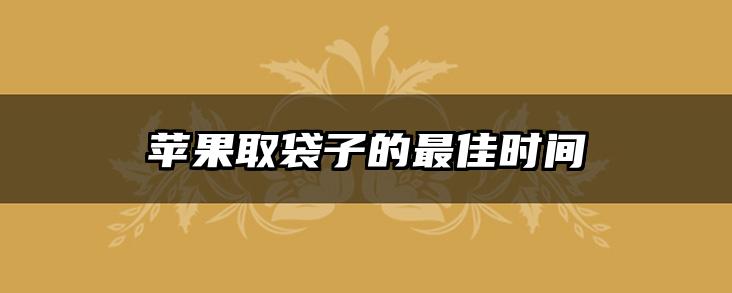 苹果取袋子的最佳时间