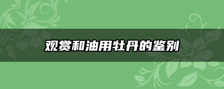 观赏和油用牡丹的鉴别