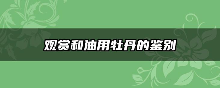 观赏和油用牡丹的鉴别