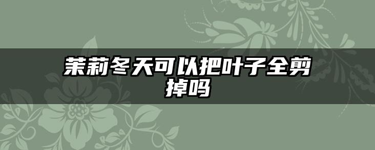 茉莉冬天可以把叶子全剪掉吗
